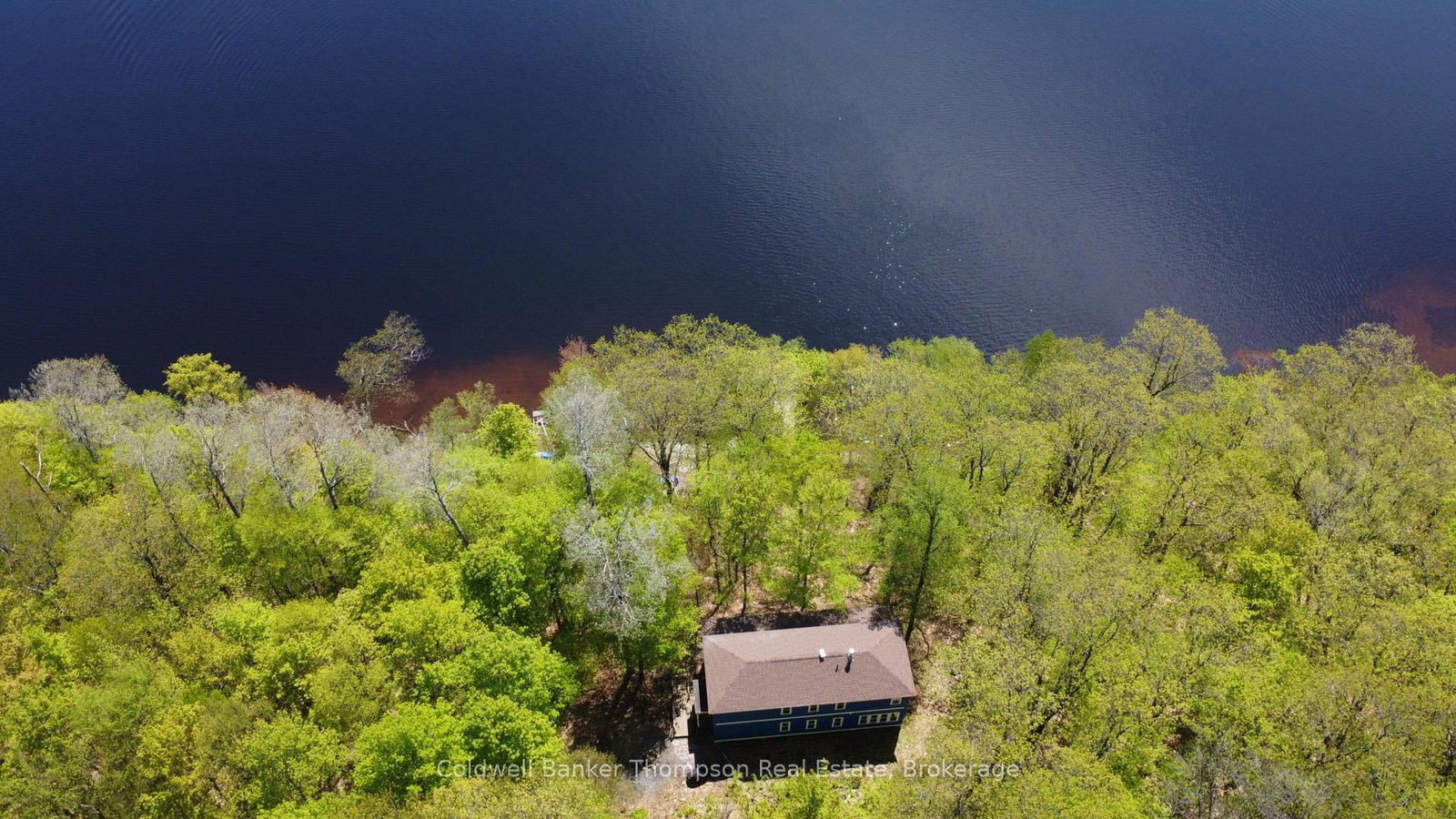768 Big Island • Huntsville, ON photo 45