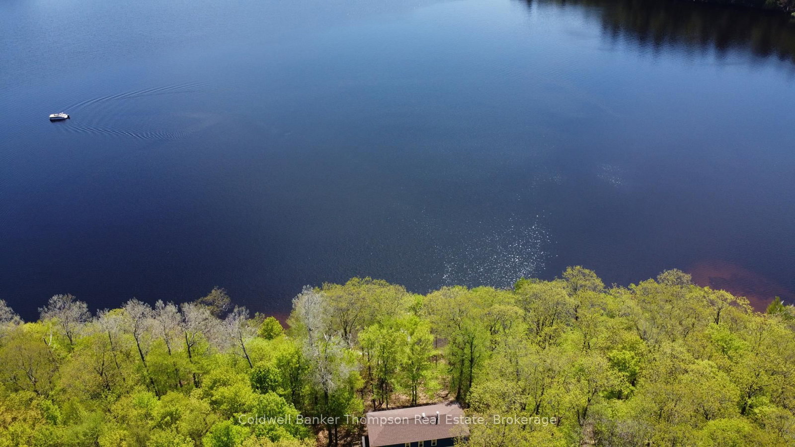 768 Big Island • Huntsville, ON photo 46
