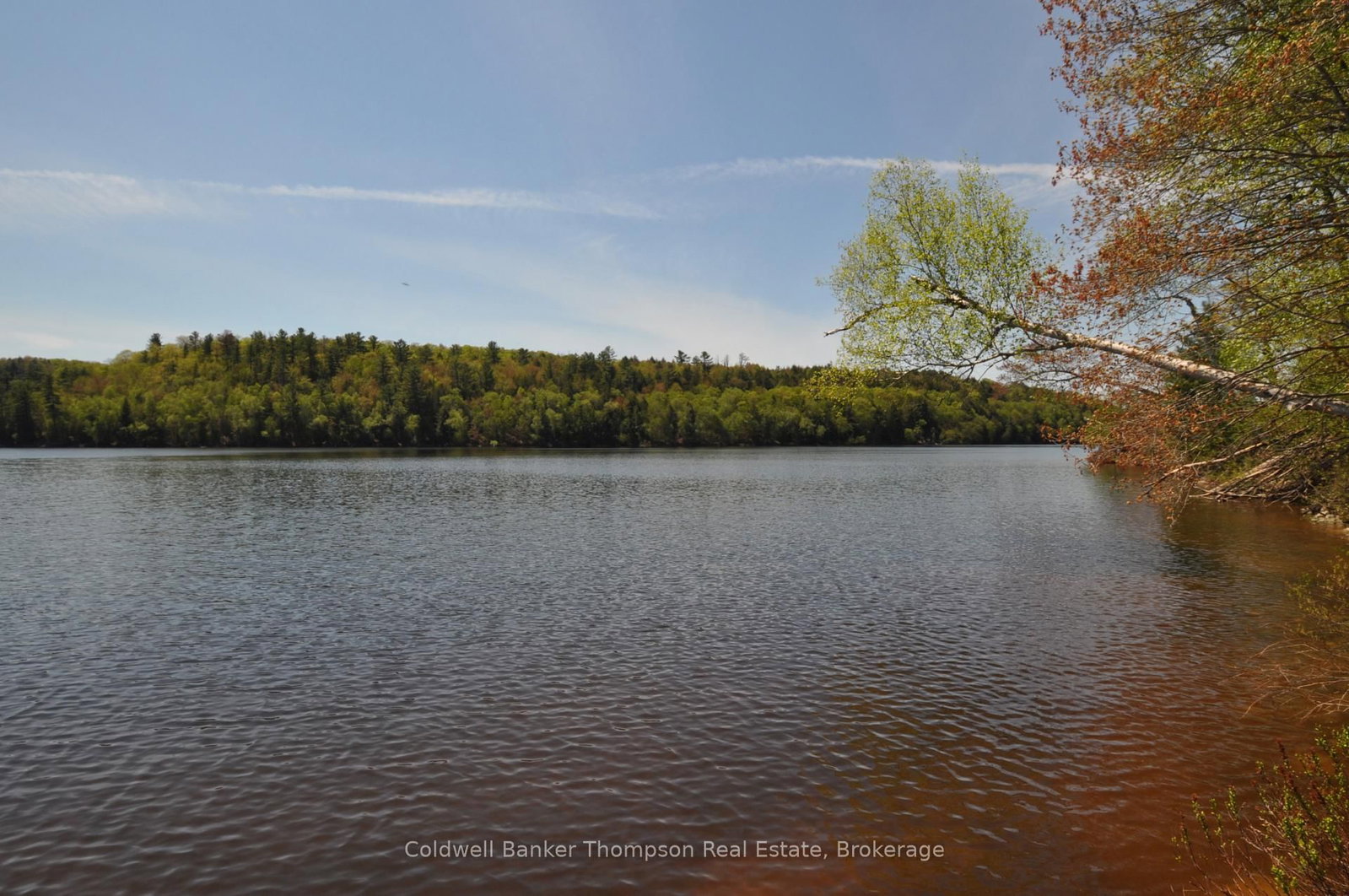 768 Big Island • Huntsville, ON photo 48