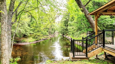 8403 Highway 28 • North Kawartha, ON photo 3