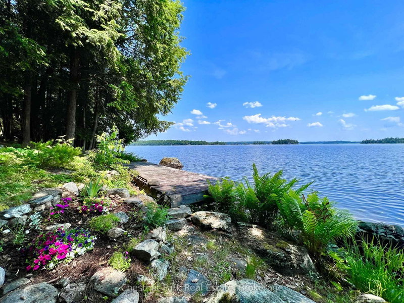1 Cedar Island