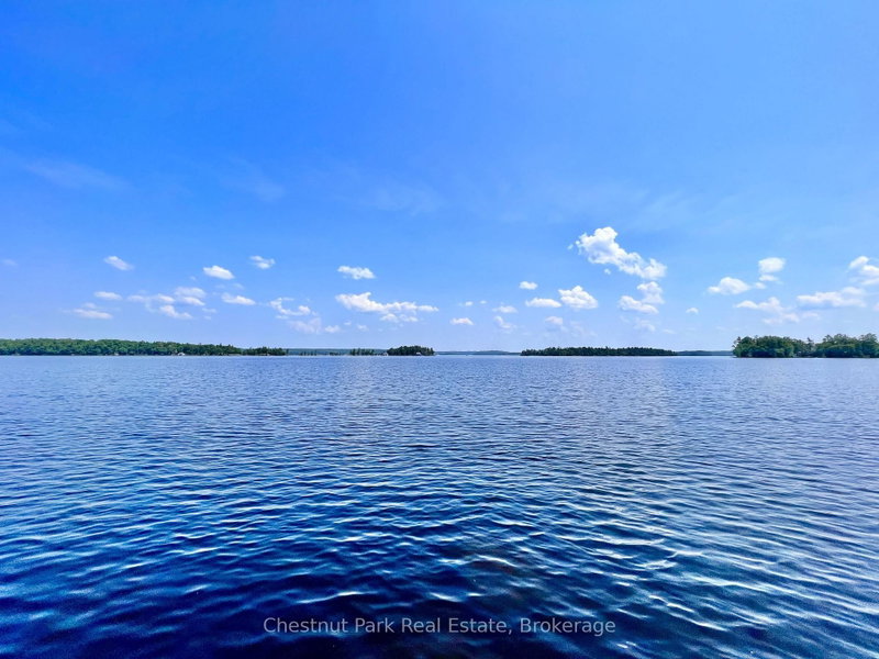 1 Cedar Island
