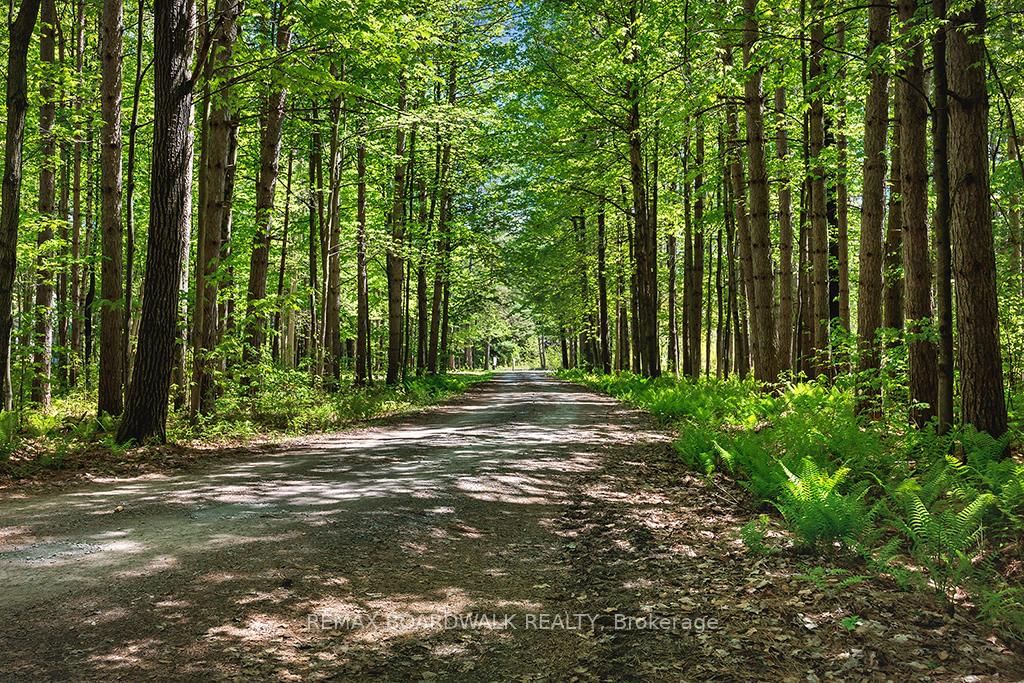 1439 Lacroix Road • Clarence-Rockland, ON photo 4