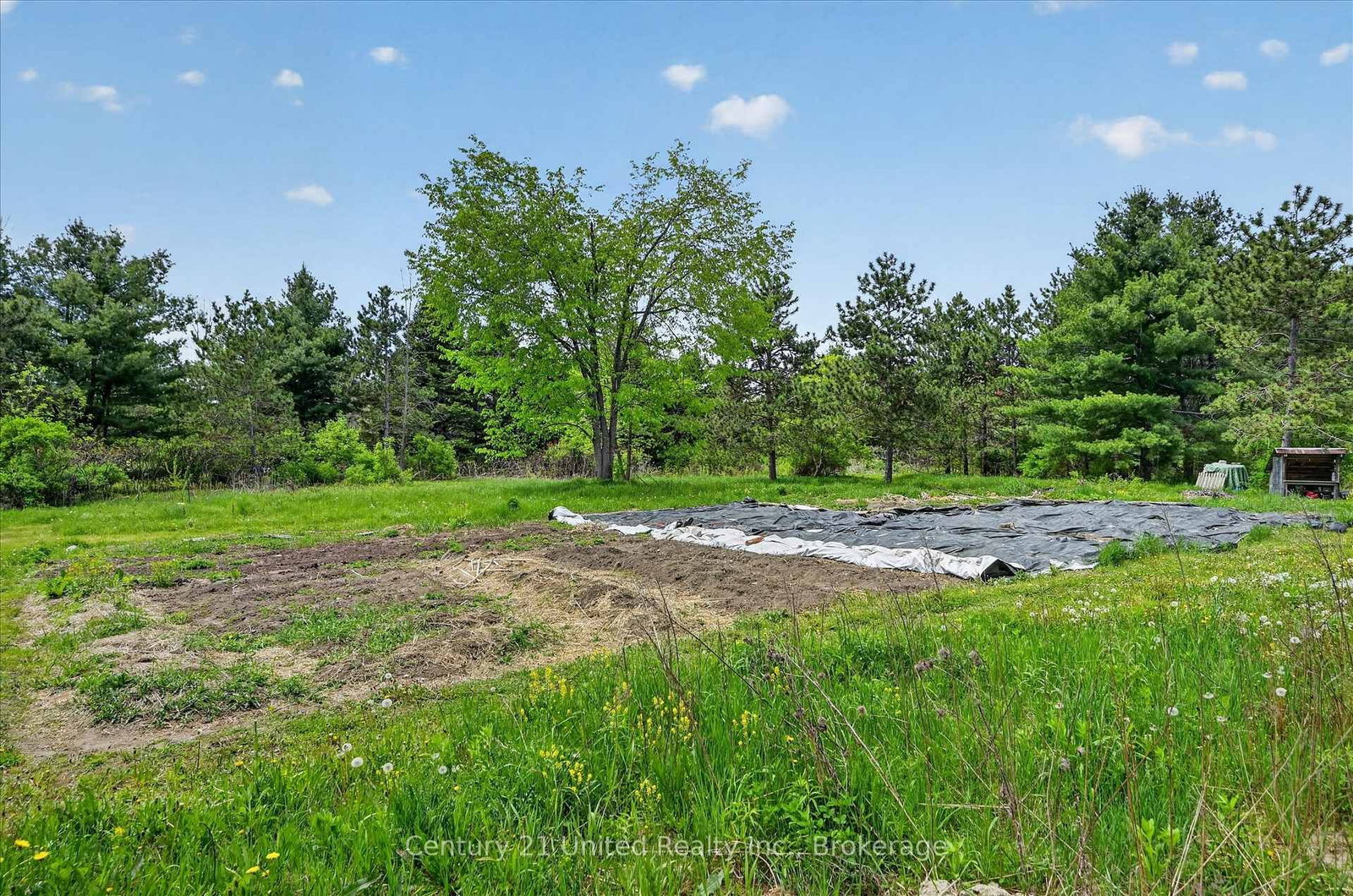 354B Marble Point Road • Limoges, ON photo 11