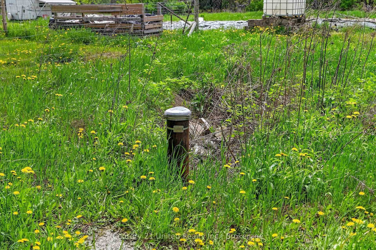 354B Marble Point Road • Limoges, ON photo 14