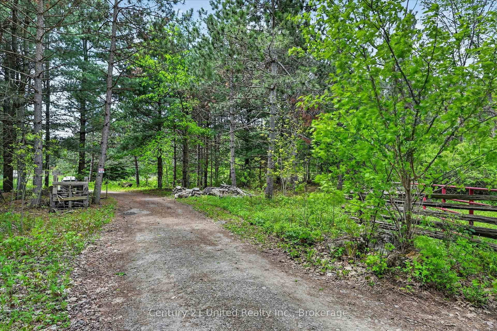 354B Marble Point Road • Limoges, ON photo 5
