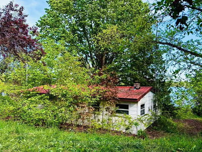1288 Portage Road • Kawartha Lakes, ON photo 3