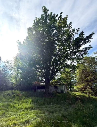 1288 Portage Road • Kawartha Lakes, ON photo 5