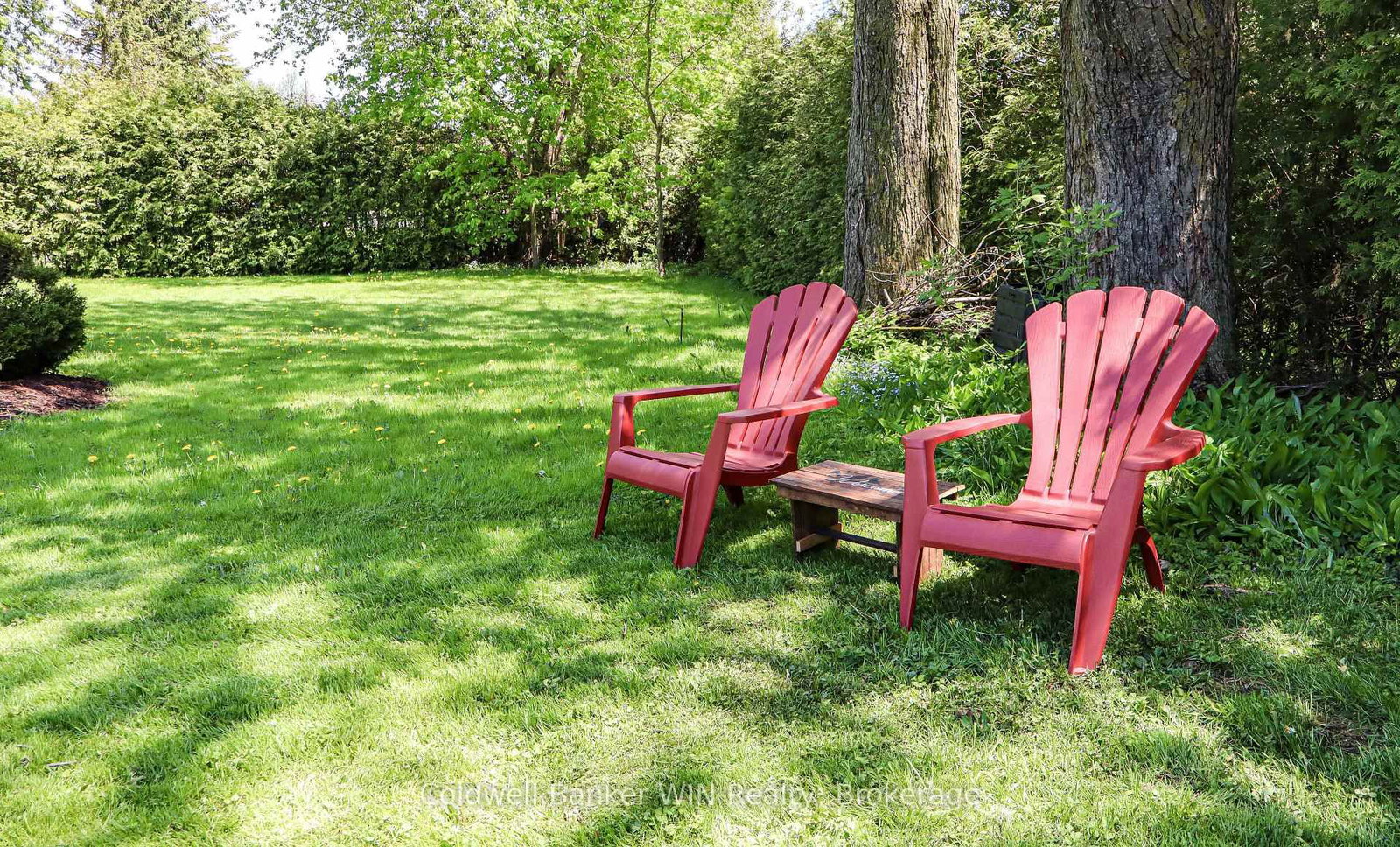 151 Isabella Street E • Wellington North, ON photo 39