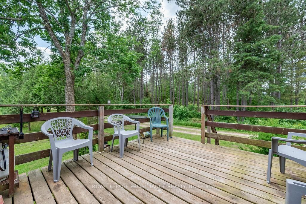 273 Tower Road • Cloyne, ON photo 28