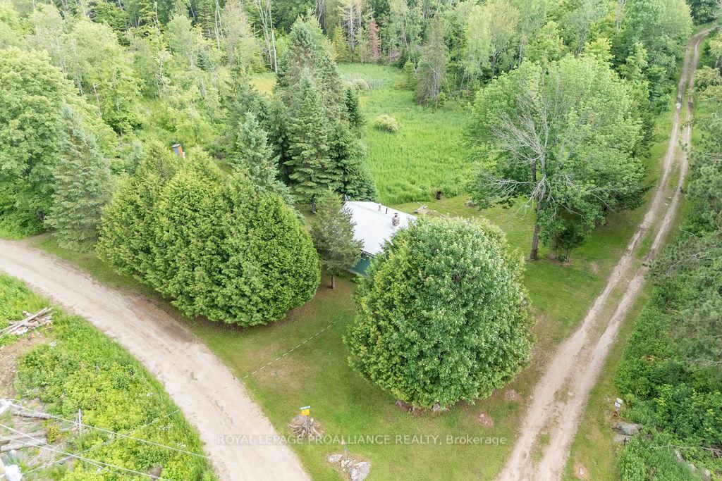 273 Tower Road • Cloyne, ON photo 33