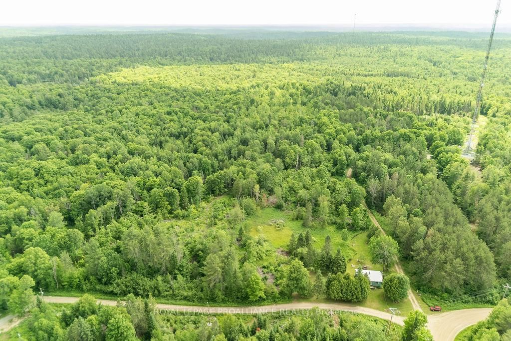 273 Tower Road • Cloyne, ON photo 34