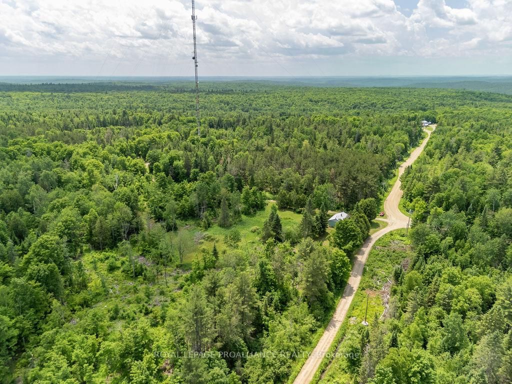 273 Tower Road • Cloyne, ON photo 40