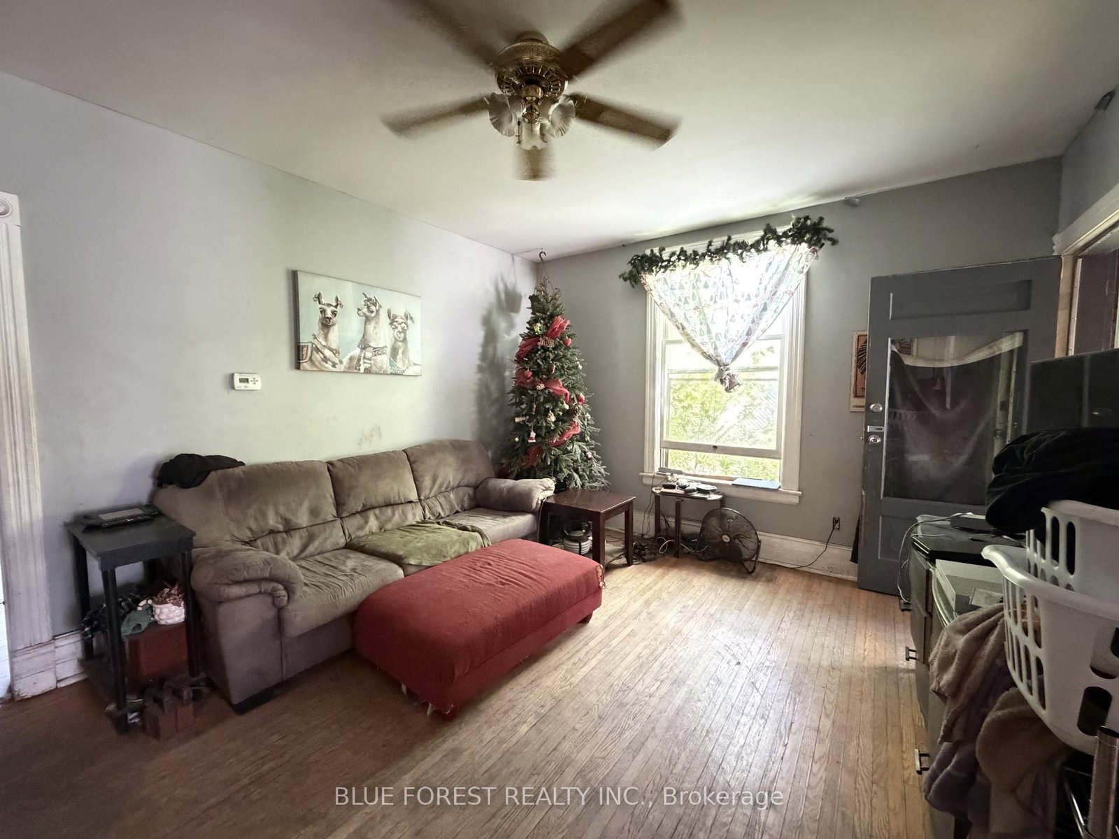67 St Catharine Street • St. Thomas, ON photo 16