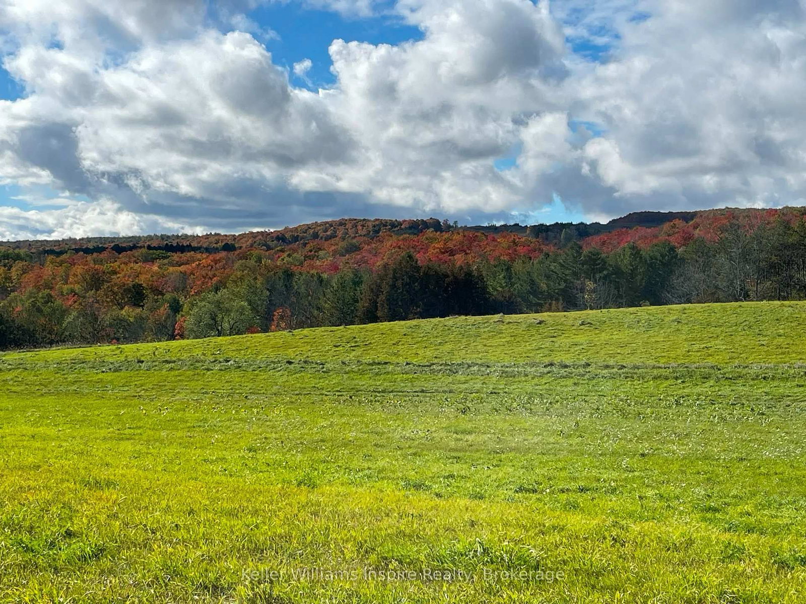 678075 Centre Road • Mulmur, ON photo 6