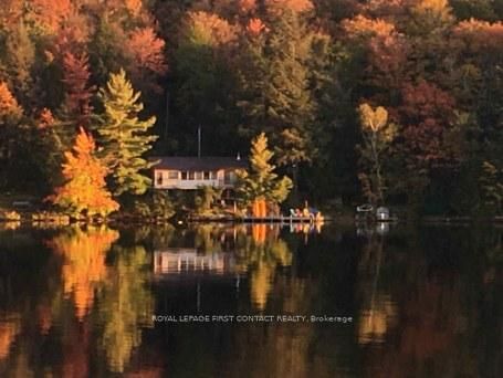 10 Healey Lake Road • The Archipelago, ON photo 1