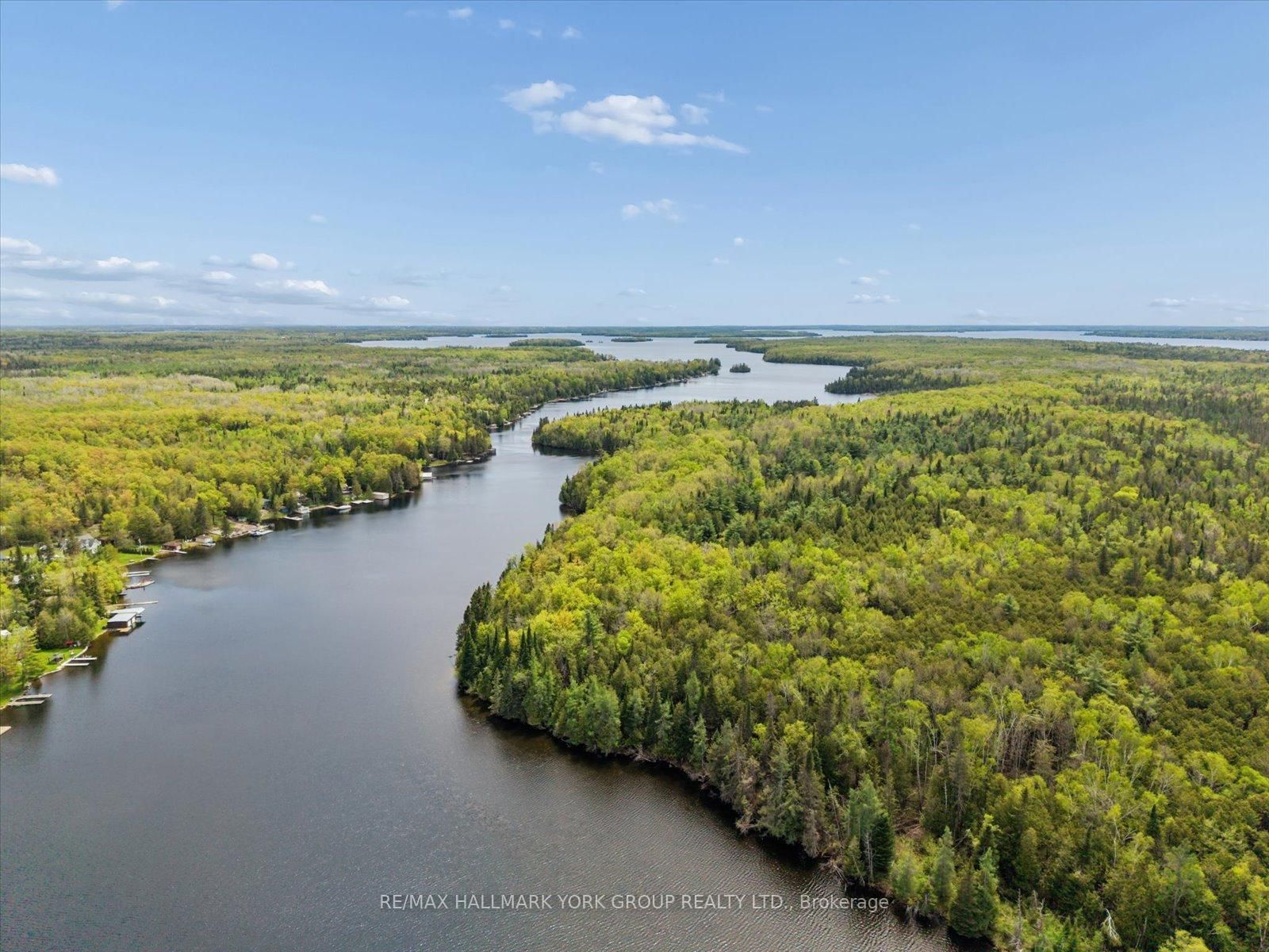 102 Albert Street • Kawartha Lakes, ON photo 50