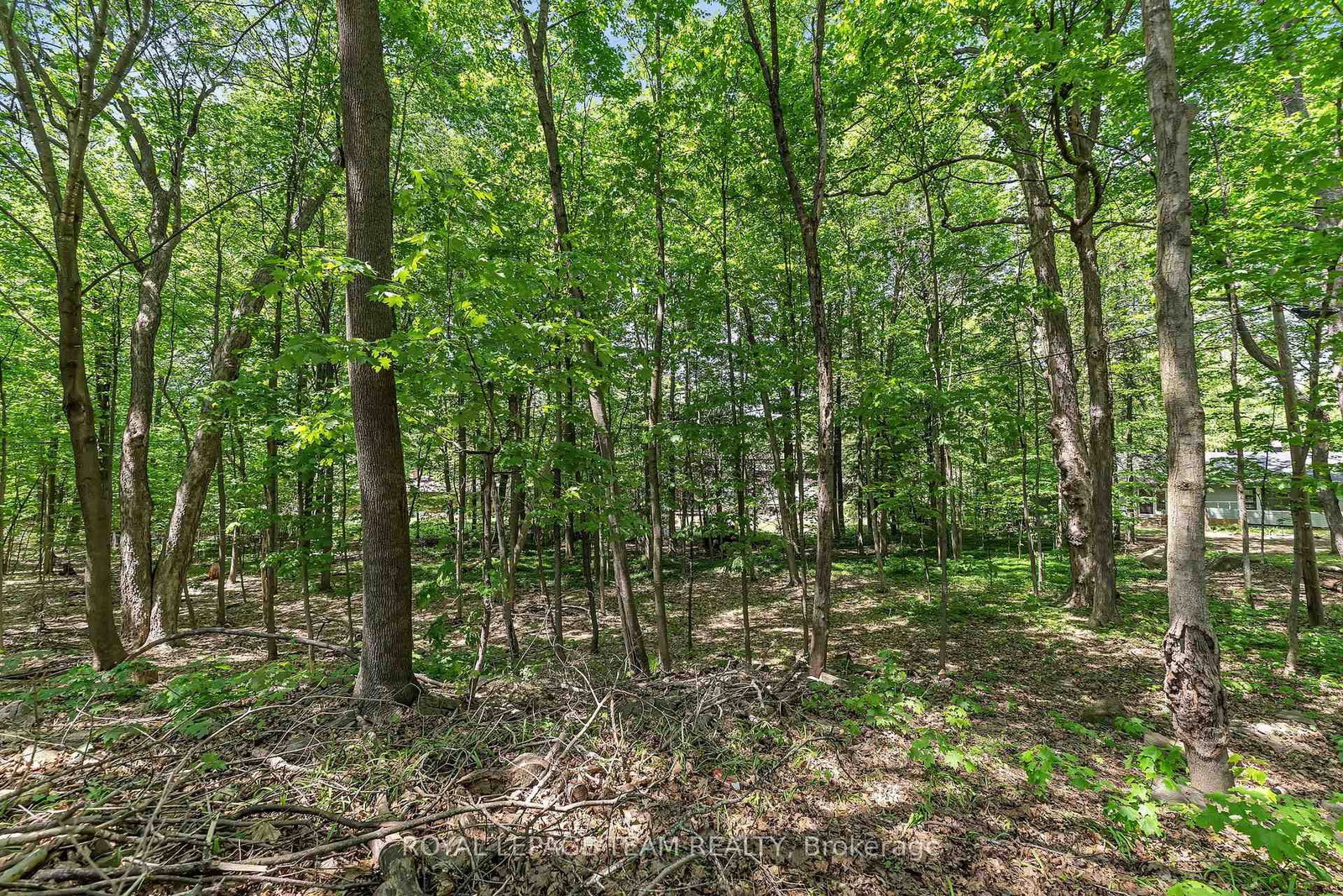 2 Fairhaven Way • Ottawa, ON photo 36