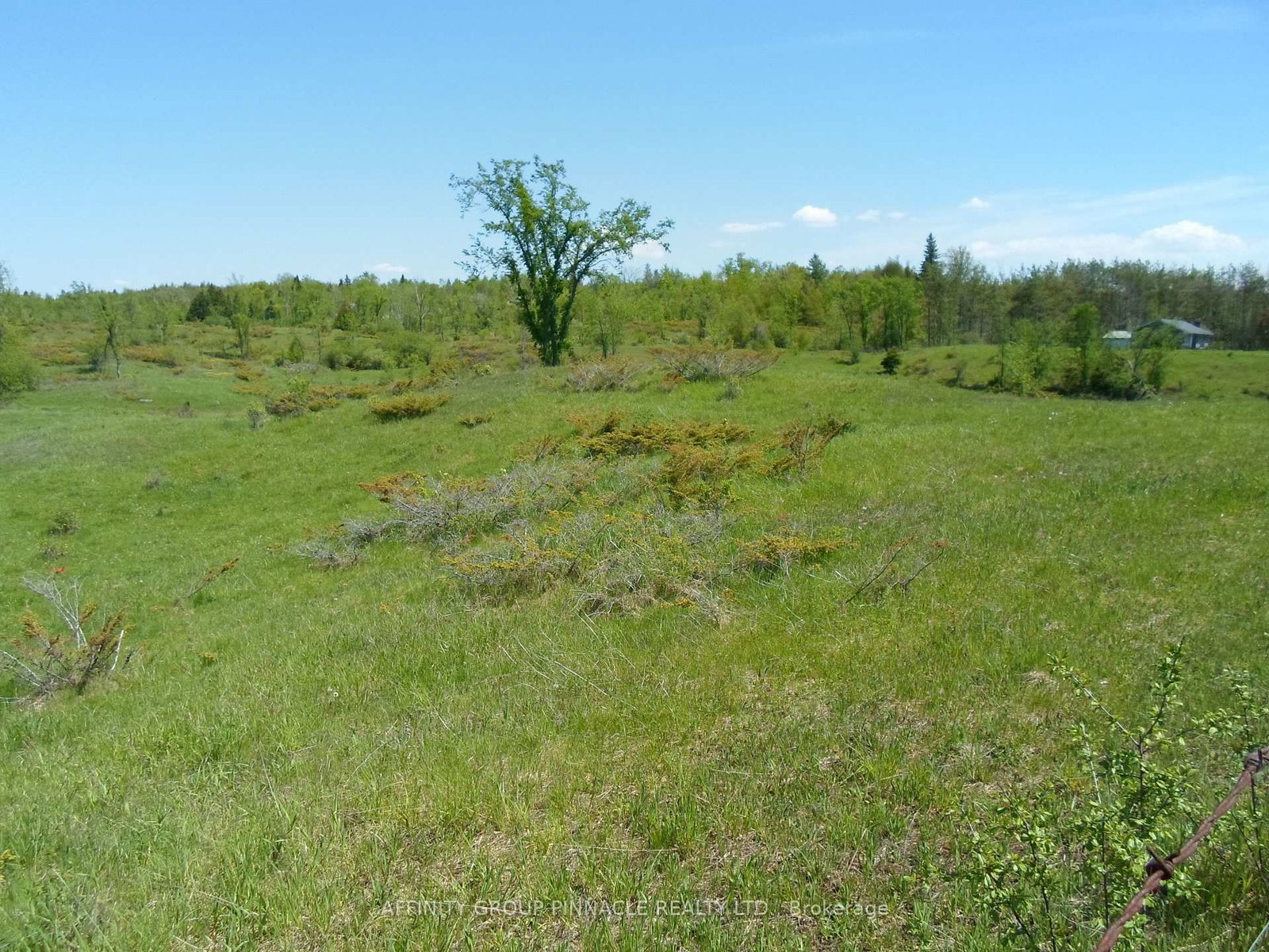 1178 County Rd 121 Road • Kawartha Lakes, ON photo 1