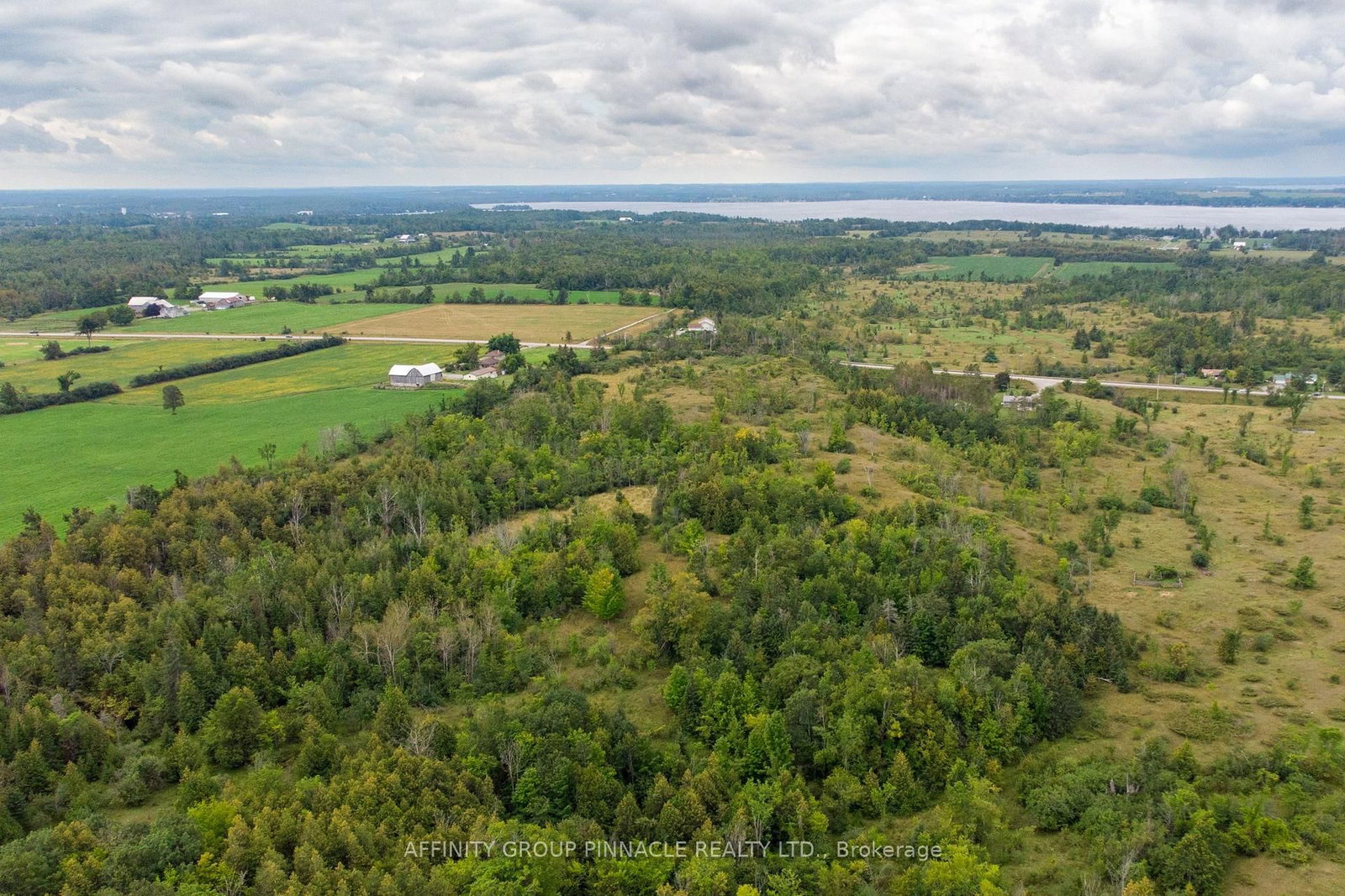 1178 County Rd 121 Road • Kawartha Lakes, ON photo 10