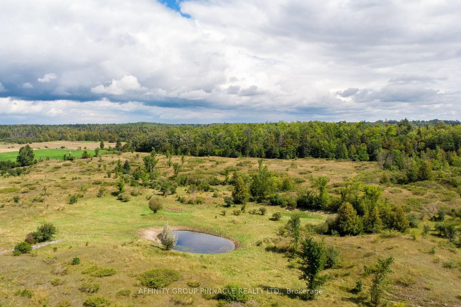 1178 County Rd 121 Road • Kawartha Lakes, ON photo 11