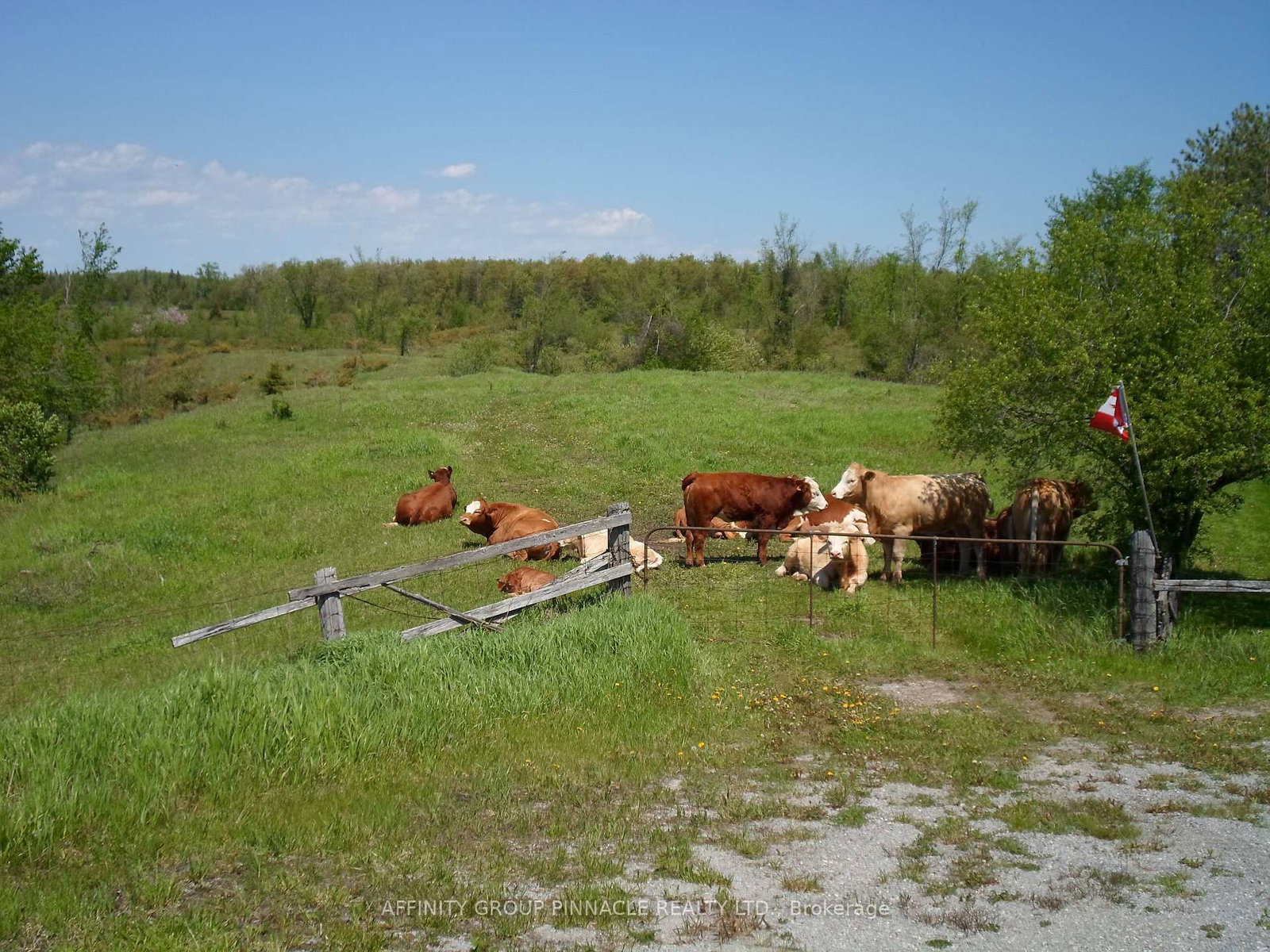 1178 County Rd 121 Road • Kawartha Lakes, ON photo 12