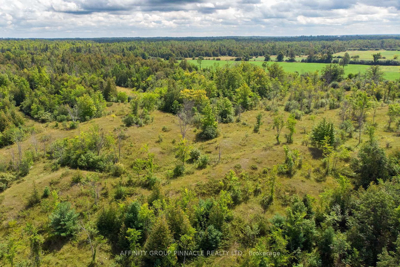 1178 County Rd 121 Road • Kawartha Lakes, ON photo 14