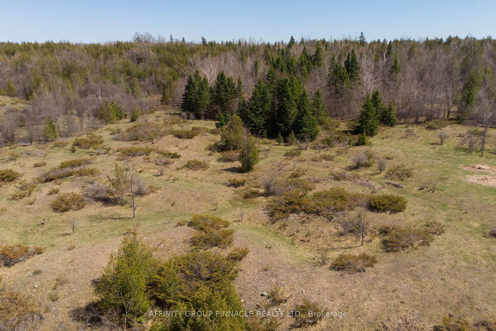 1178 County Rd 121 Road • Kawartha Lakes, ON photo 15