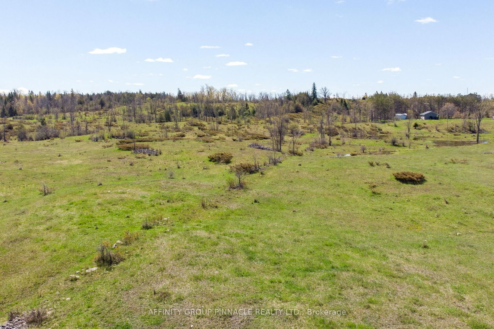 1178 County Rd 121 Road • Kawartha Lakes, ON photo 5