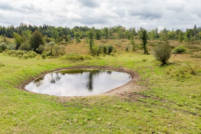 1178 County Rd 121 Road • Kawartha Lakes, ON photo 8
