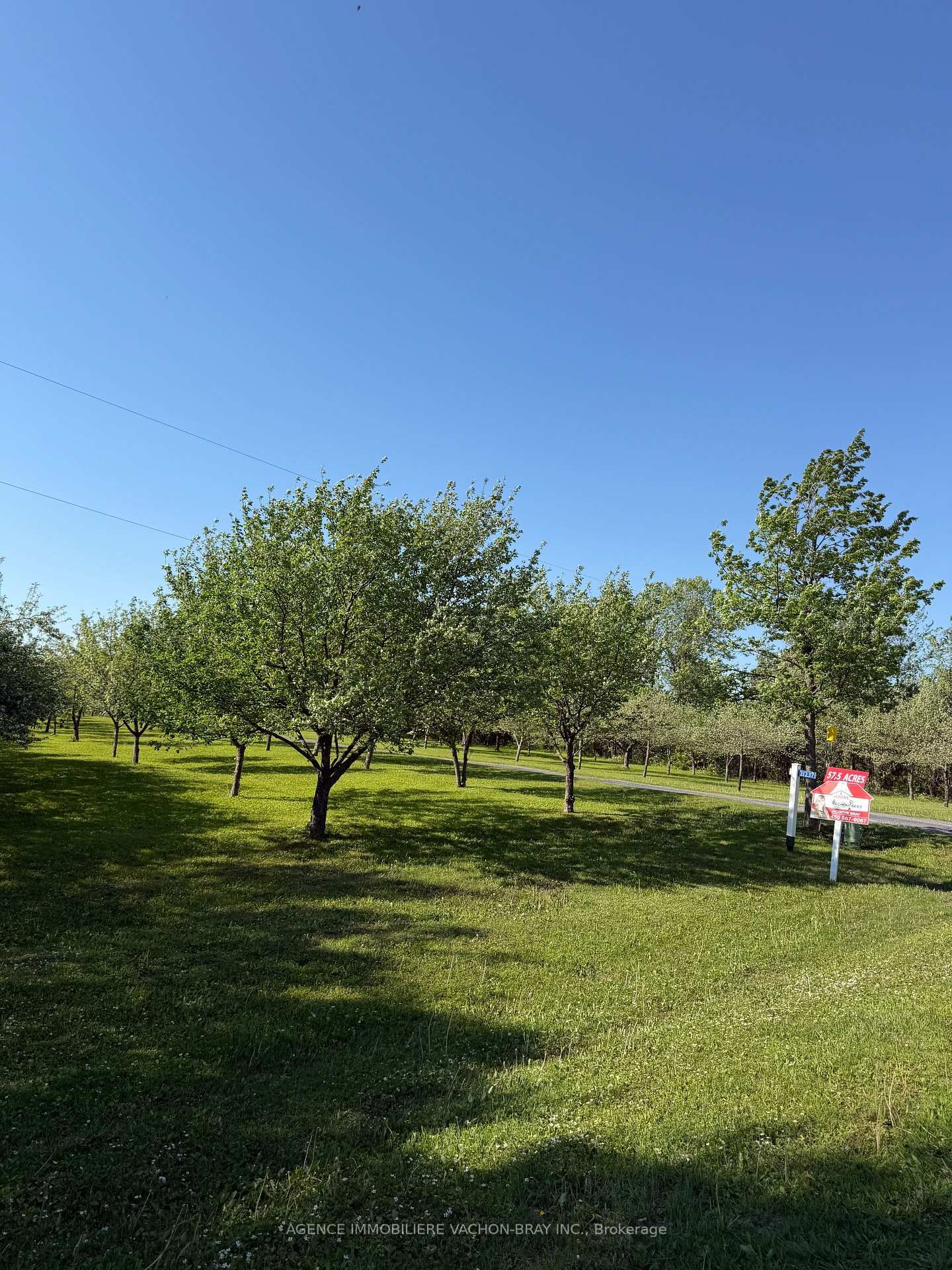 21237 Concession 6 Road N • South Glengarry, ON photo 7
