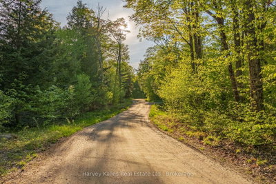 Unit Lot #8 — 38 Gryffin Bluffs Lane — photo 5