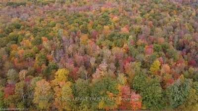 PT LT 20 7th Concession Road — photo 6