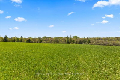 W PT LT 15 SIDEROAD 16B • Grey Highlands, ON photo 6