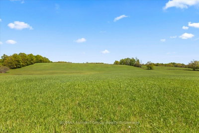 W PT LT 15 SIDEROAD 16B • Grey Highlands, ON photo 7
