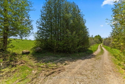 W PT LT 15 SIDEROAD 16B • Grey Highlands, ON photo 8