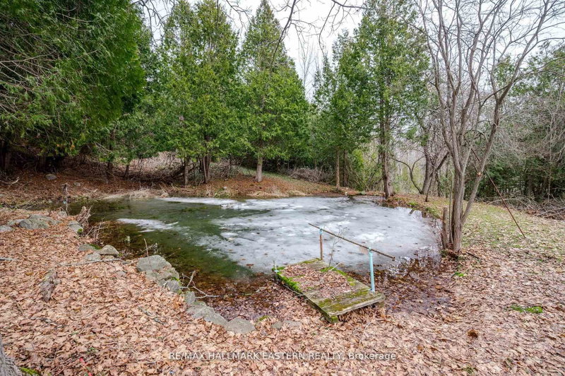 521 Concession Rd 8 W
