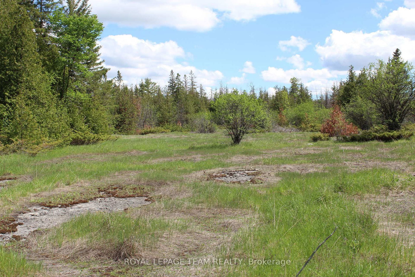 3475 HWY 17 Highway • Carp, ON photo 10