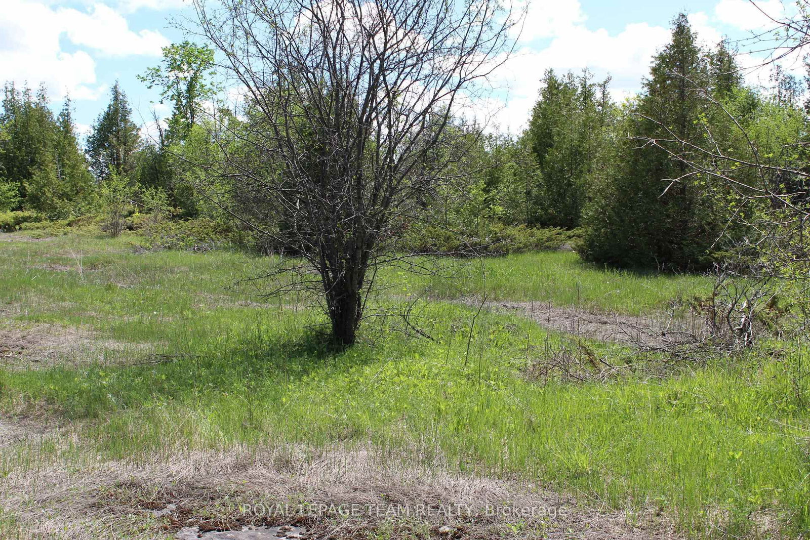 3475 HWY 17 Highway • Carp, ON photo 13