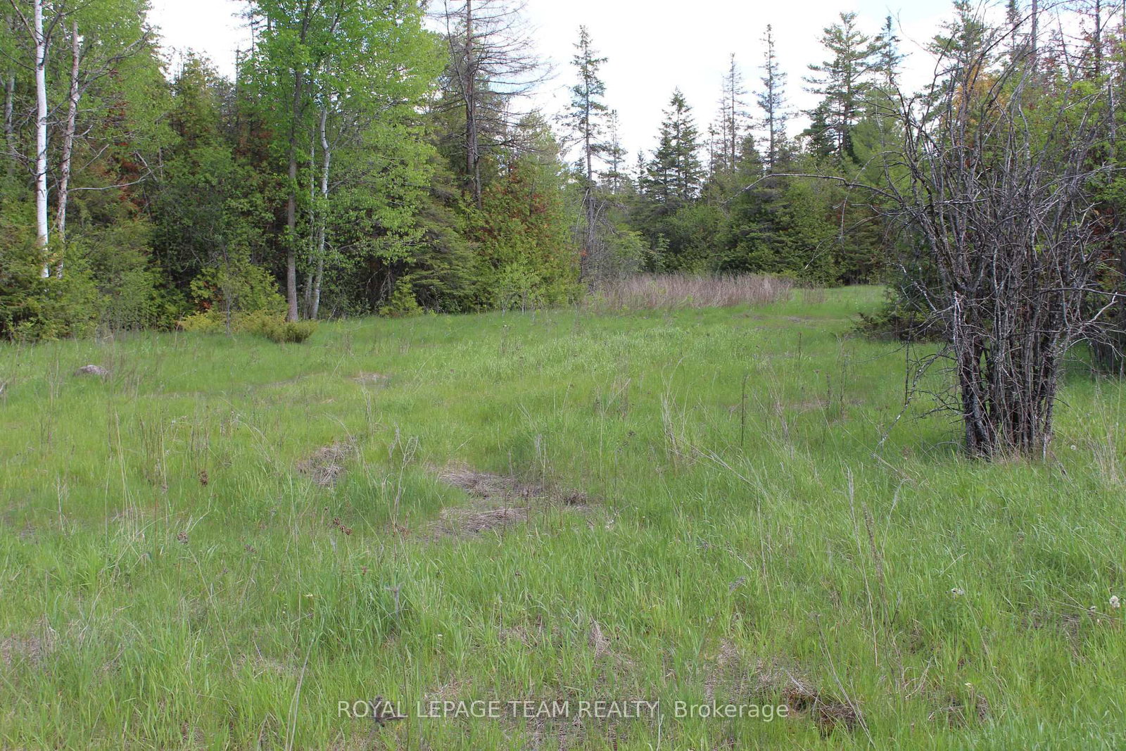 3475 HWY 17 Highway • Carp, ON photo 15