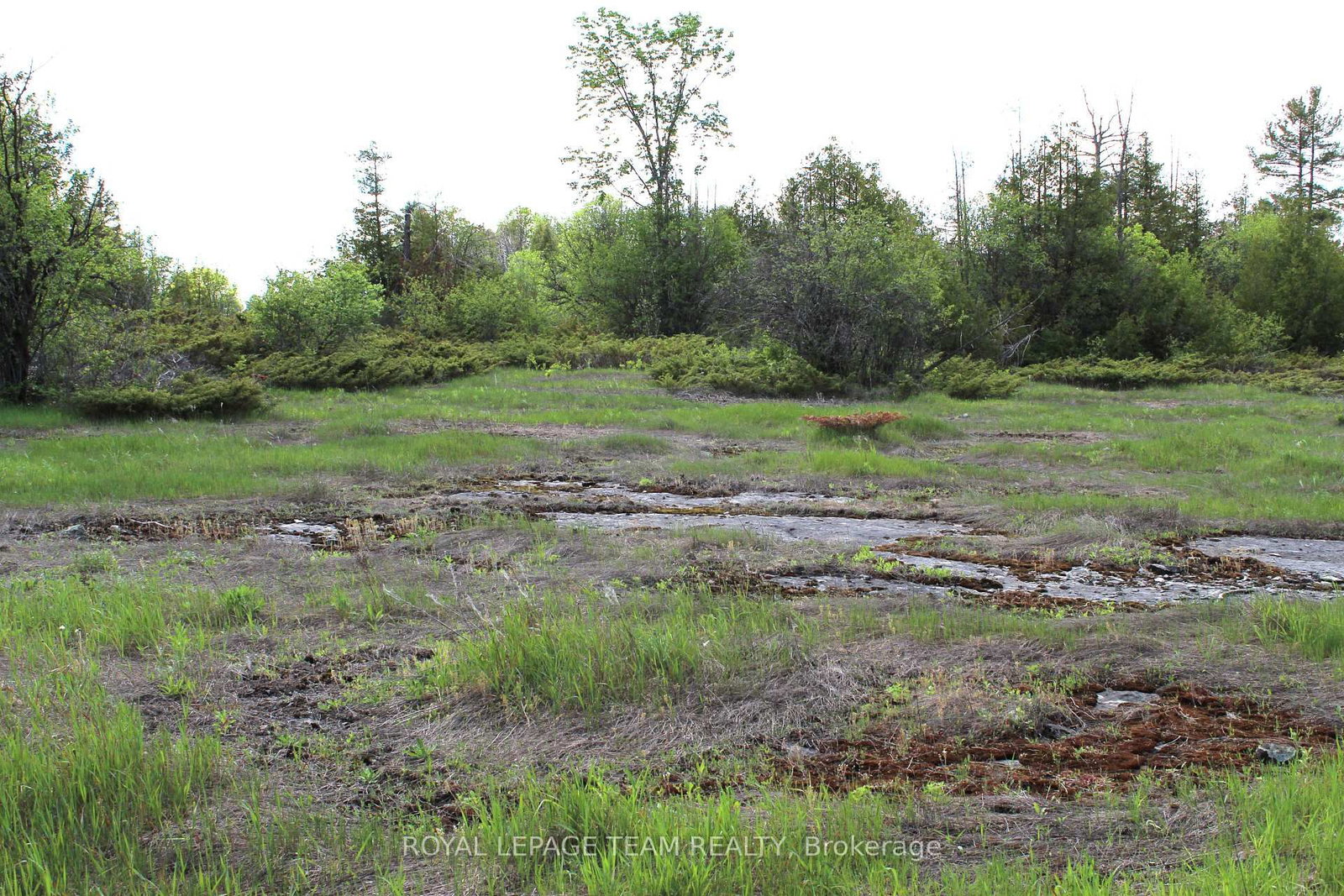 3475 HWY 17 Highway • Carp, ON photo 16