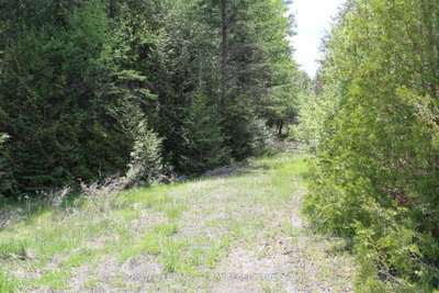 3475 HWY 17 Highway • Carp, ON photo 4