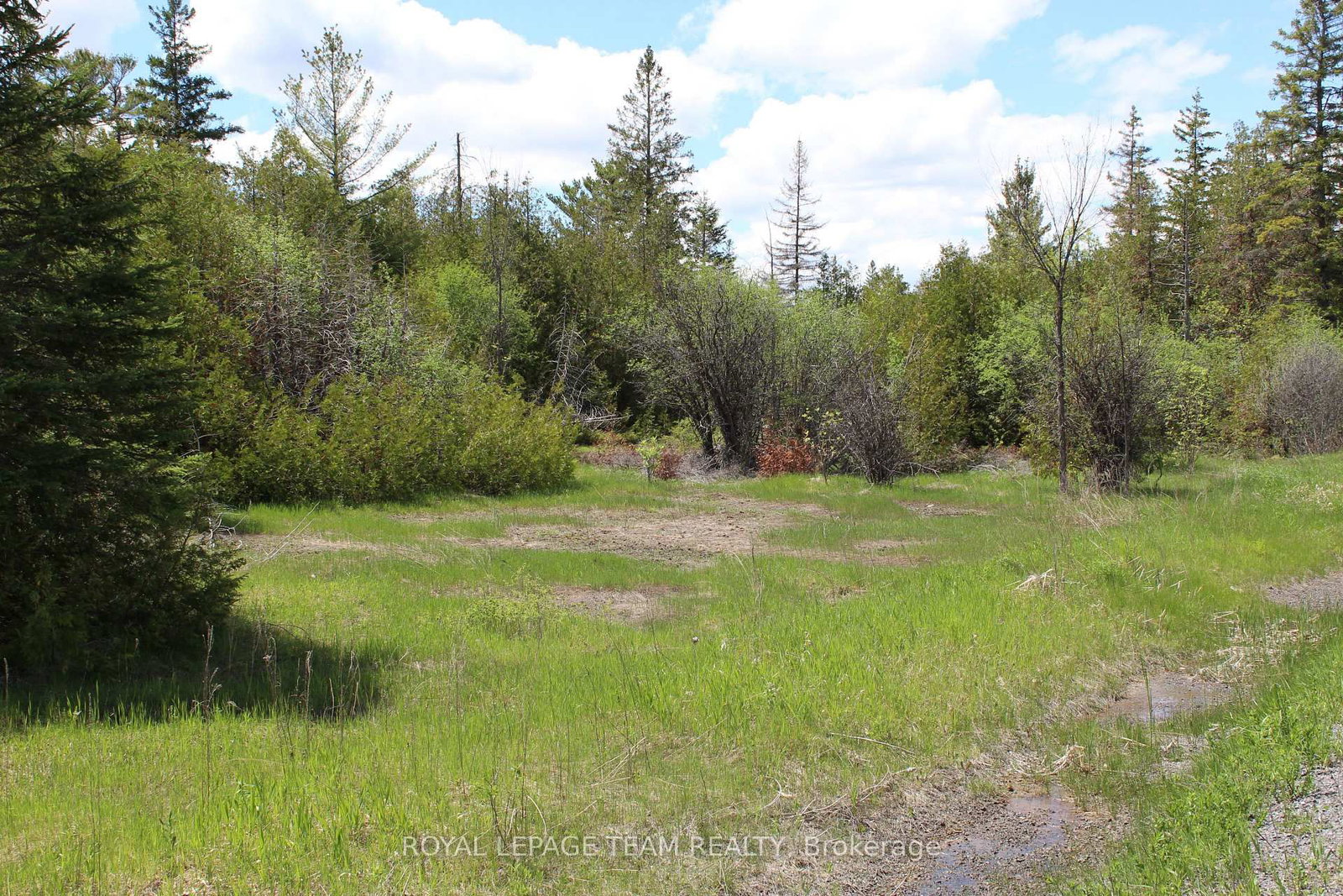 3475 HWY 17 Highway • Carp, ON photo 5