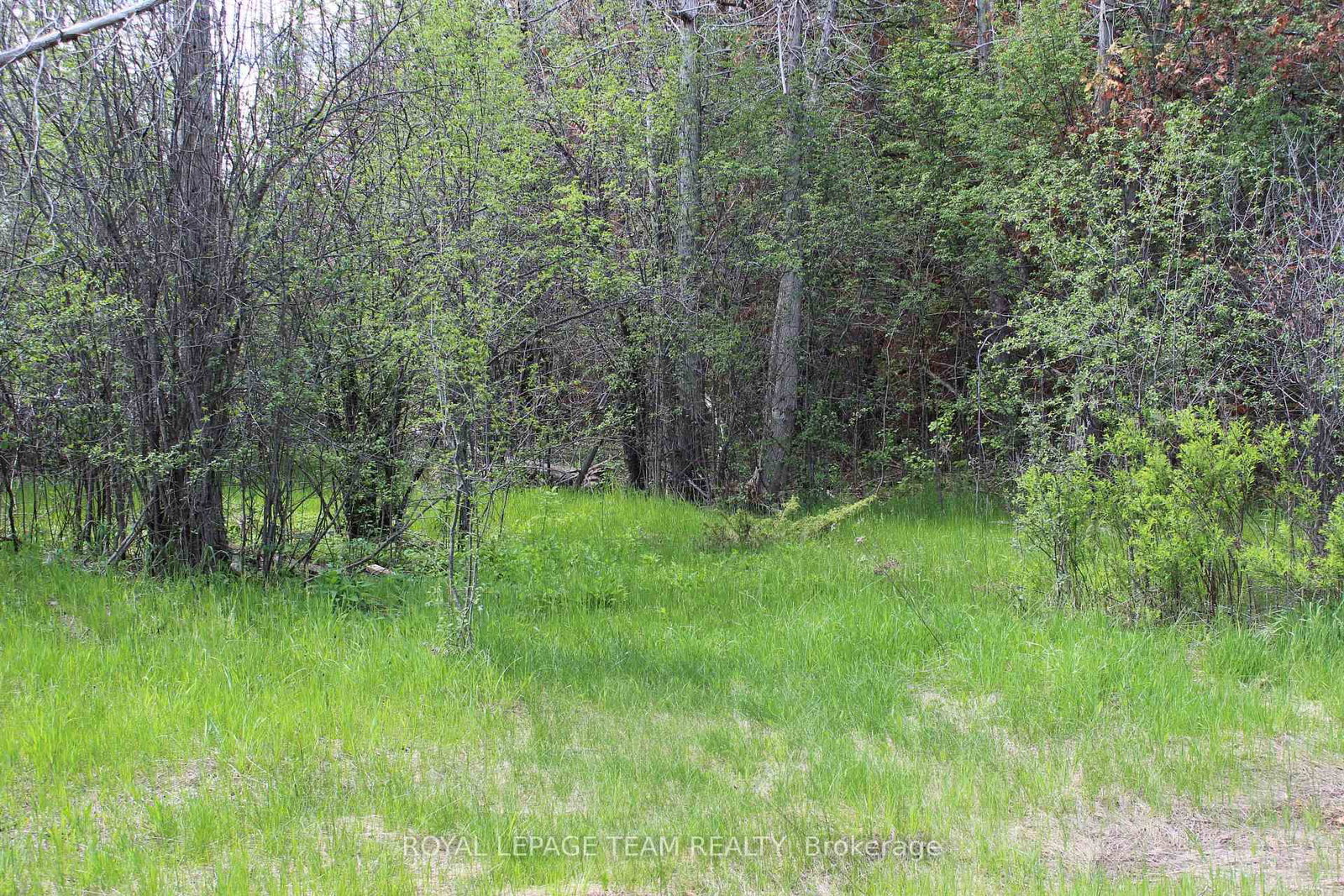 3475 HWY 17 Highway • Carp, ON photo 6