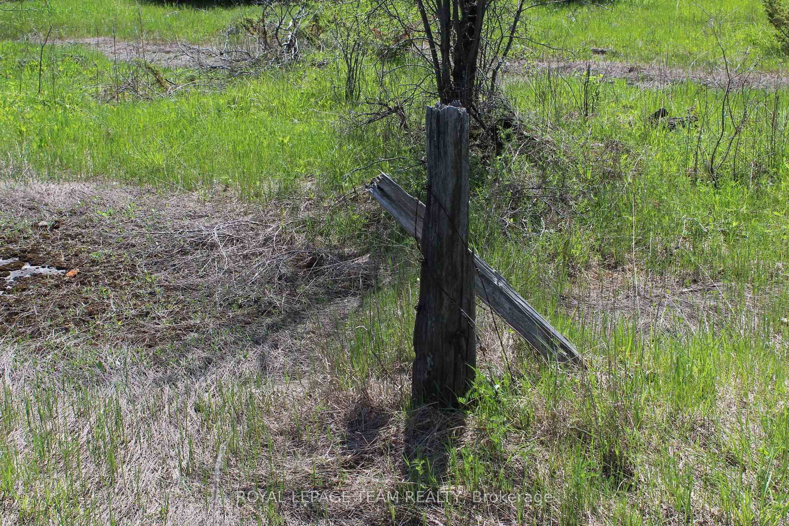 3475 HWY 17 Highway • Carp, ON photo 8