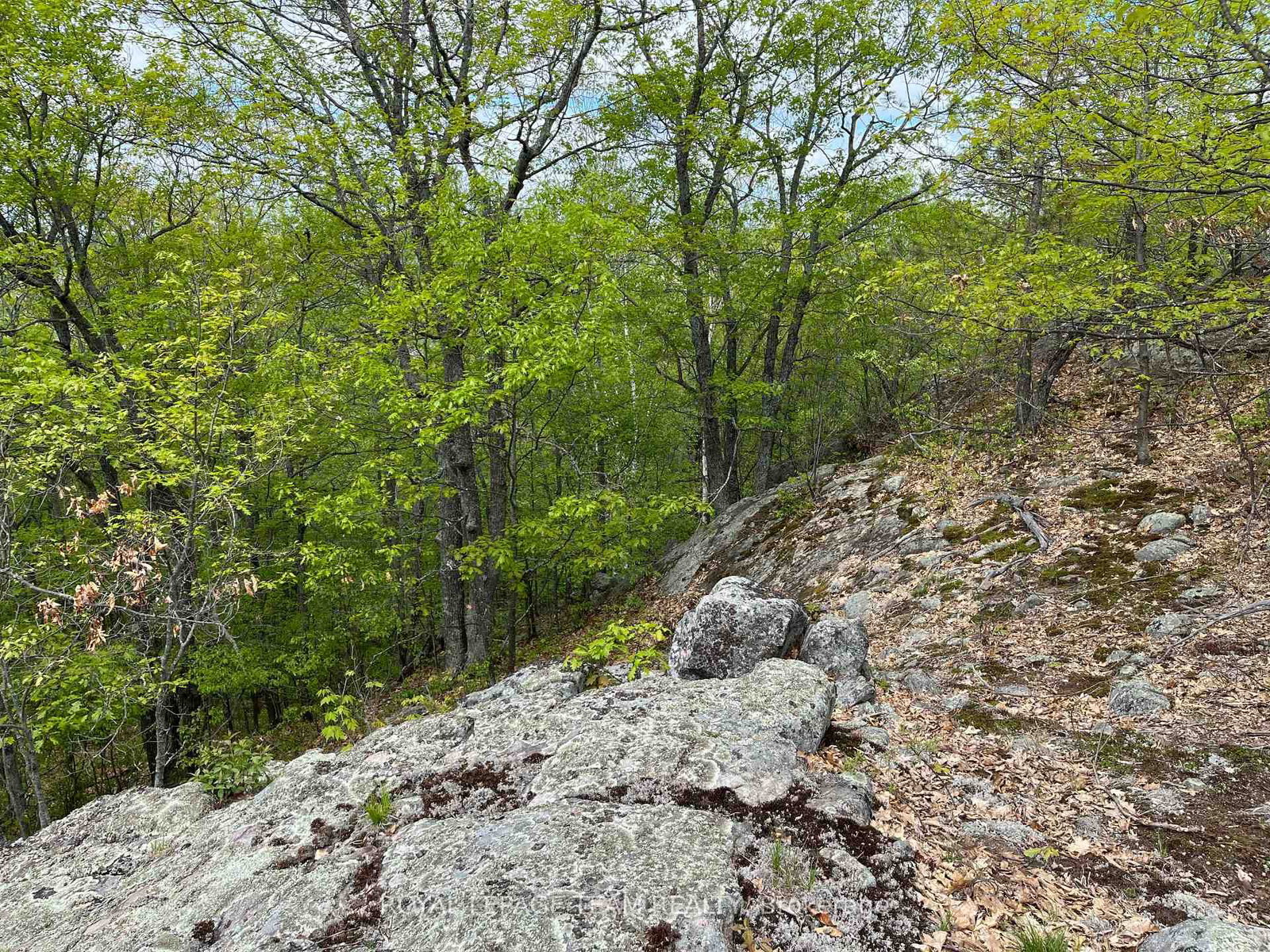 0 Wales Drive • Barry's Bay, ON photo 11