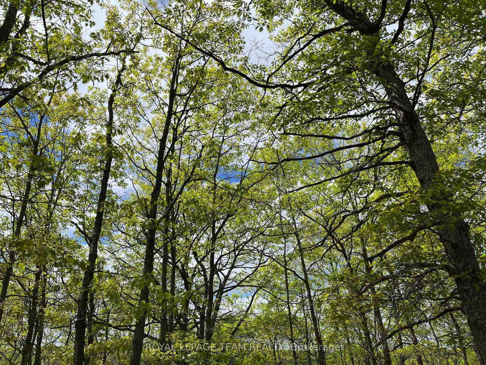 0 Wales Drive • Barry's Bay, ON photo 19