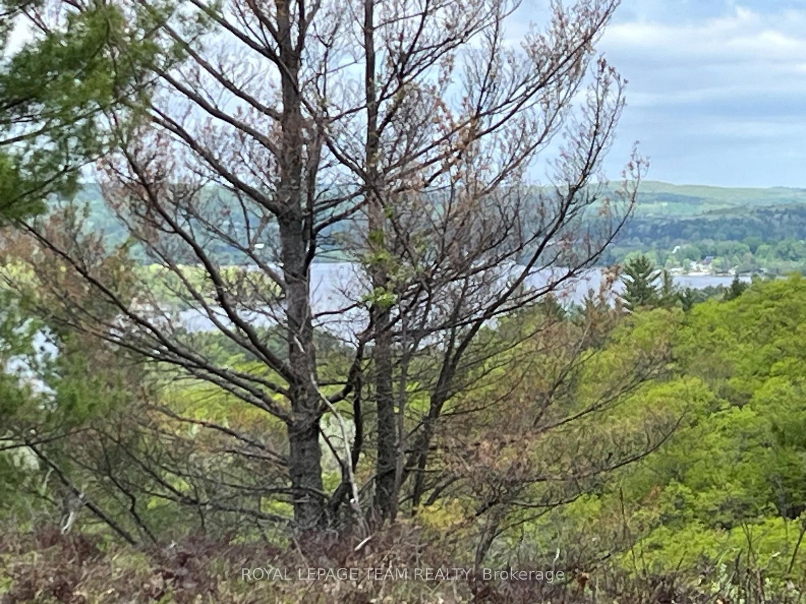 0 Wales Drive • Barry's Bay, ON photo 4