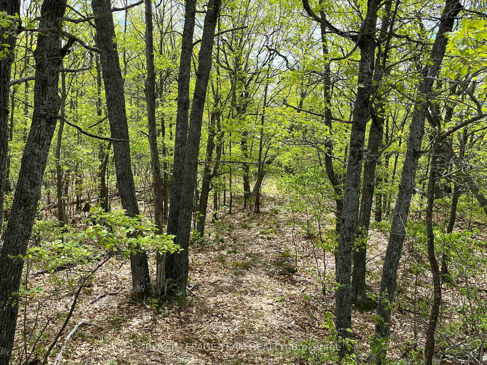 0 Wales Drive • Barry's Bay, ON photo 6