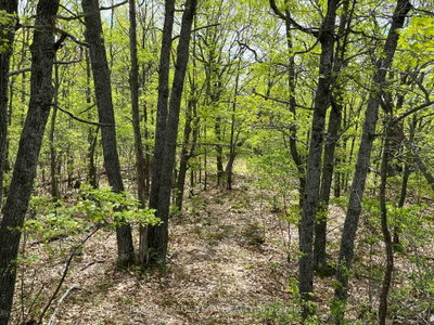 0 Wales Drive • Barry's Bay, ON photo 6